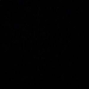 Meet your Posher, Reggel